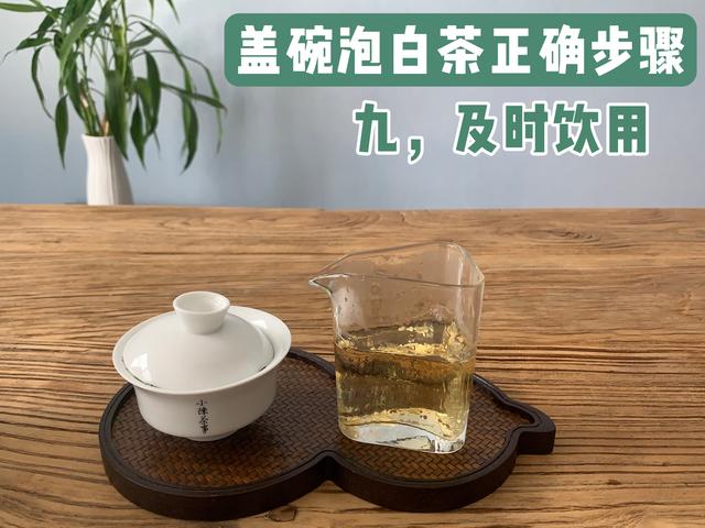 茶道入门泡茶顺序，茶道入门茶道基本步骤（教你用最少的时间从菜鸟到高手）