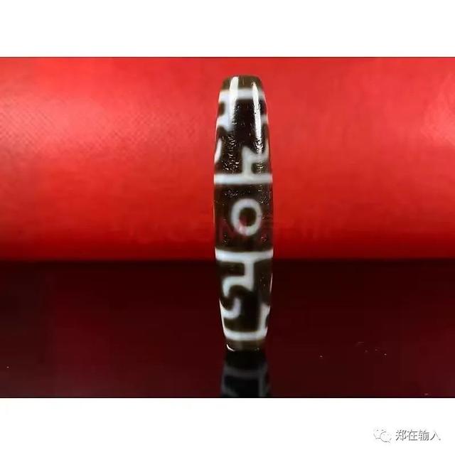 神奇海螺什么梗，神奇海螺是什么梗（我的城市消弭了包浆）