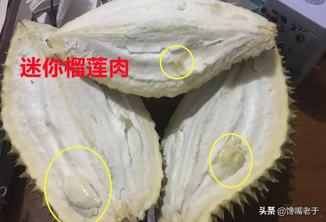 怎么挑选剥开的榴莲肉，榴莲剥出来是什么样子的肉（买榴莲：别只会挑大的）