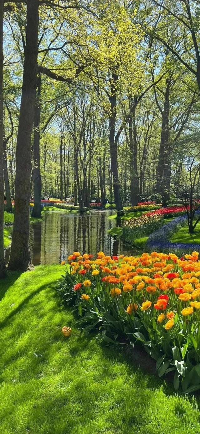 好看干净的背景图   夏天，好看干净的背景图书本天蓝色（夏日凉爽壁纸，更爱浅绿）