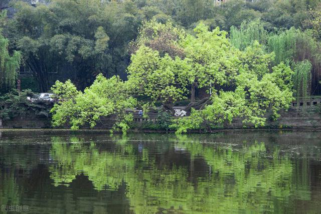 重庆是哪个省的，重庆是哪里的哪个省的（重庆与四川为何要“分家”）
