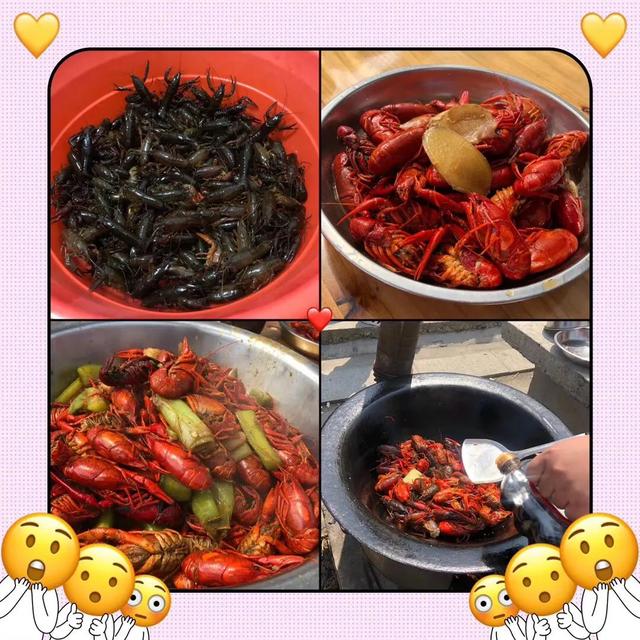 吃货进行曲歌词，吃货养成记：二零一九