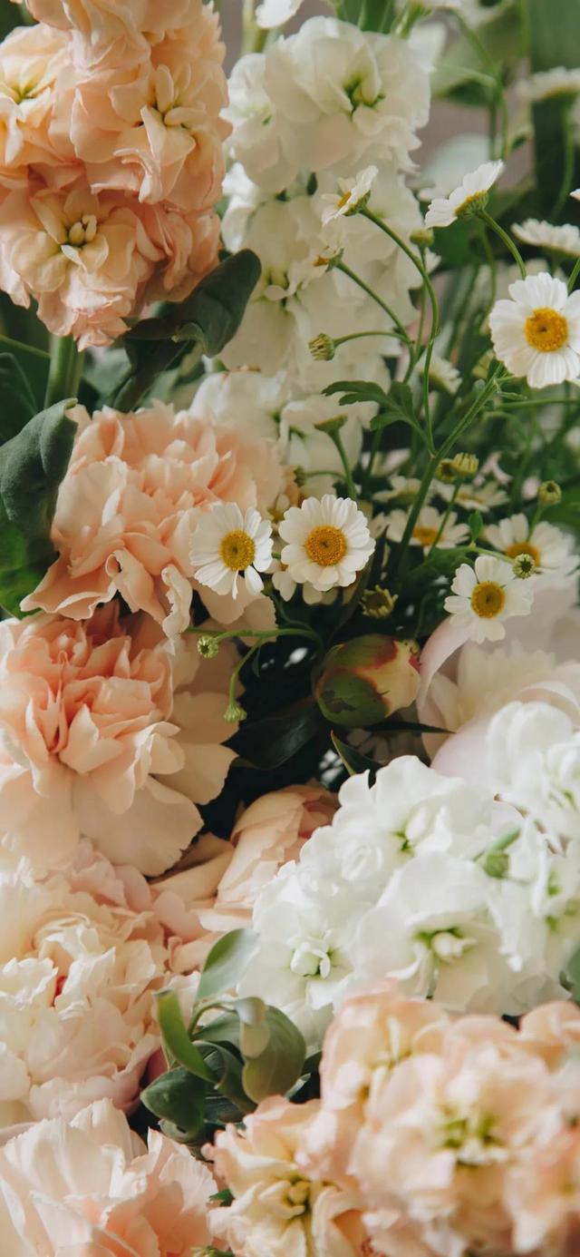 另一种灿烂人生，失恋后活出了另一种灿烂人生的星座（壁纸，灿烂人生）