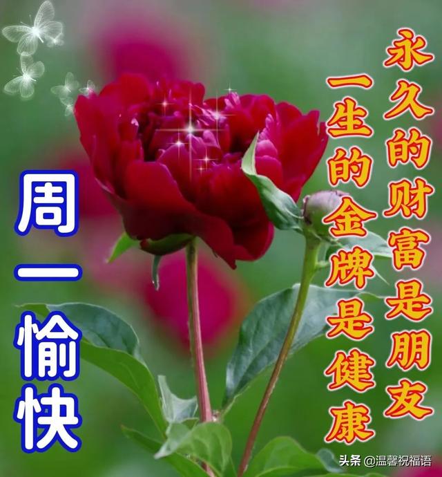 早上好的问候美句，关于早上好的问候美句有哪些（6月20日今生有缘）