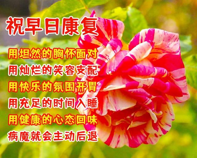 送给朋友的美好暖心祝福语，好看的祝福图片带文字
