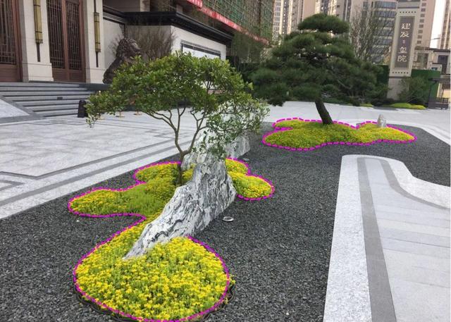 佛甲草,景观中佛甲草的应用(佛甲草价格)