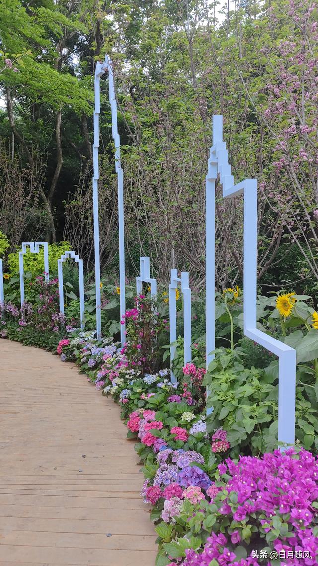 深圳市仙湖植物园，深圳仙湖植物园适合夏天逛吗（深圳仙湖植物园现场实拍图来了）