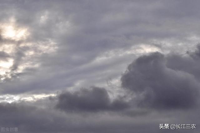 梅花是什么季节开的，春天的梅花什么颜色