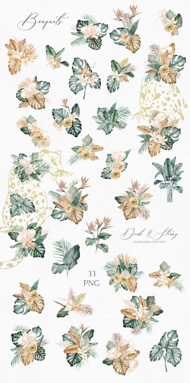 滴水观音价格，北欧插画丨梦幻般的热带雨林（滴水观音价格1.5米）