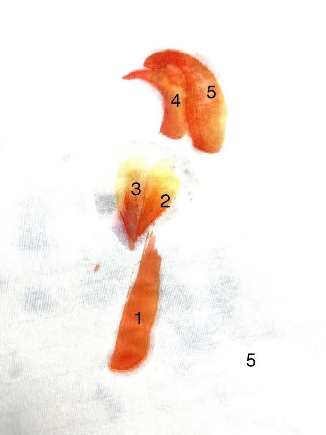 简单的鸟怎么画，如何画简易的小鸟（画家刘华：鸟的画法）