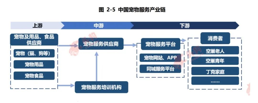 训犬师（月薪3万的狗德培训）