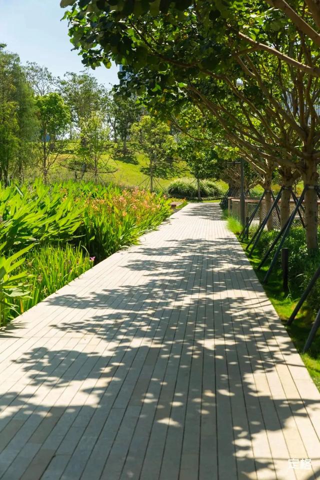 深圳好玩的免费景点，深圳哪里好玩的景点（来深圳这10个地方免费玩）