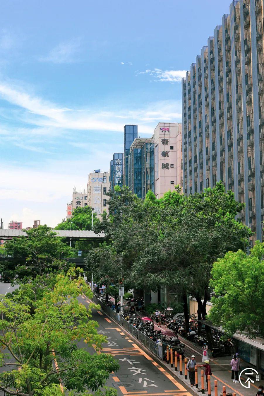深圳北在哪个区(深圳西站在哪个区)