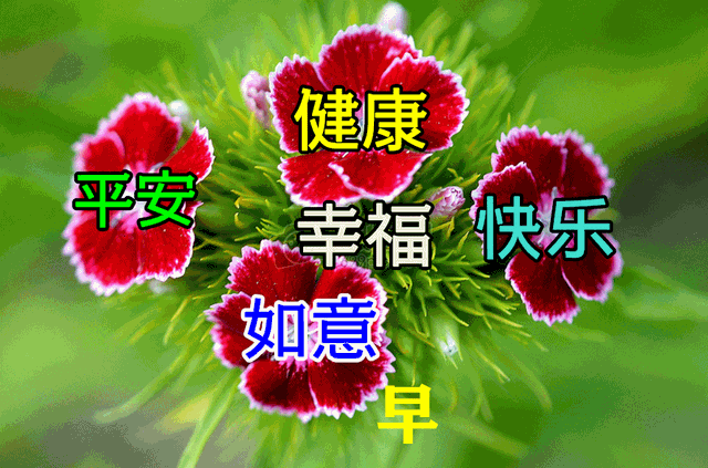 2021周末祝福语，2021年祝福寄语（7月2日星期六最新早上问候表情图片）