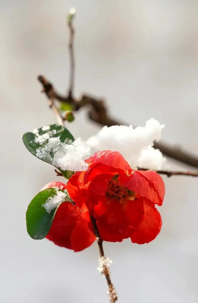 优美散文随笔，优美散文随笔日记450（散文：年）