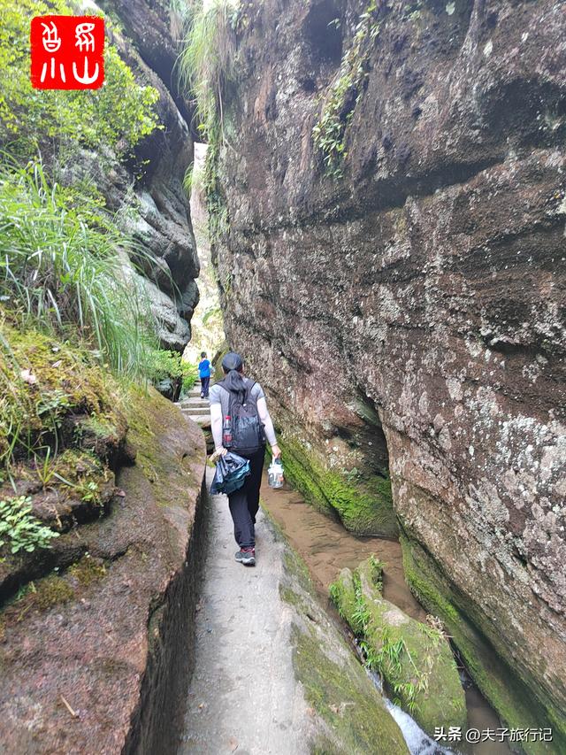 武夷山自在游攻略，福建武夷山旅行攻略<附图>