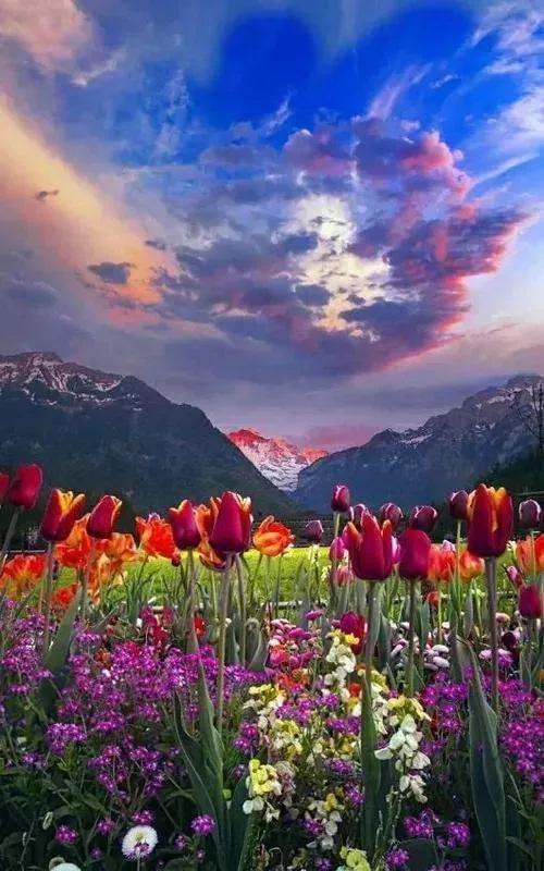 人间美景，人间美景胜天堂（70幅大自然美景图片）