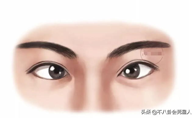 唇形分为哪几种及图片，唇形的种类（斗鸡眼、蒜头鼻、大扁嘴）