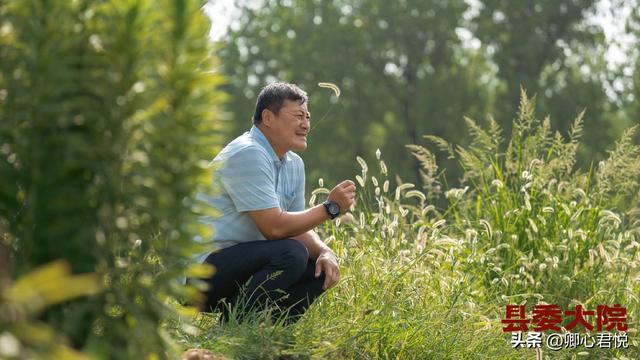 领导真心重视你的表现，领导重视你的表现有哪些（看不懂“小人物”梁三宝）