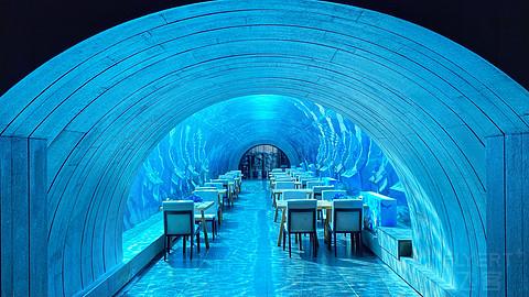 近乎完美的体验，入住报告，三亚维也纳国际酒店