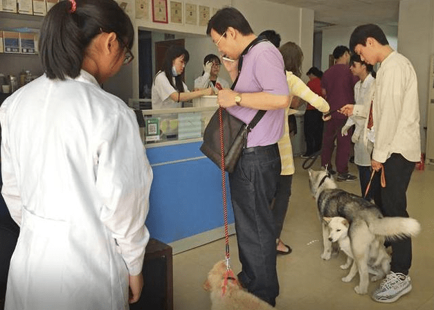 杭州工作好找吗，请问杭州工作好找吗（大学生们的就业面又宽了）