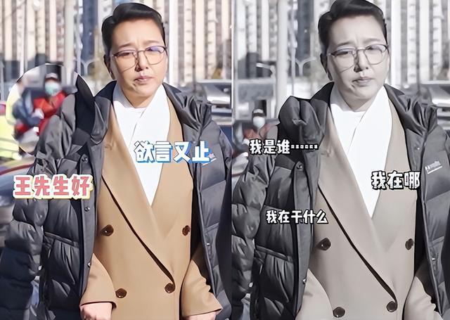 江珊主演的电视剧，江珊与靳东主演的电视剧全集（王志文和江珊不是夫妻胜似夫妻）