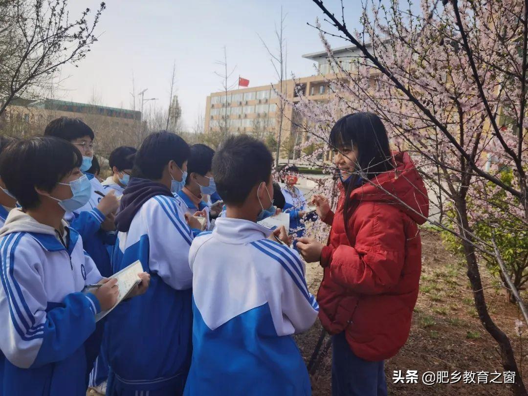 学校秋游作文（课改前沿）