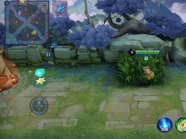 妲己怎么发育比较快，王者荣耀妲己怎么发育最好（最适合小妲己阴人的六个草丛）