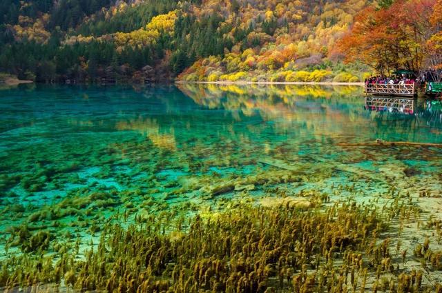 最浪漫的地方，国内浪漫的旅游地方（国内最浪漫的10个甜蜜旅行圣地）