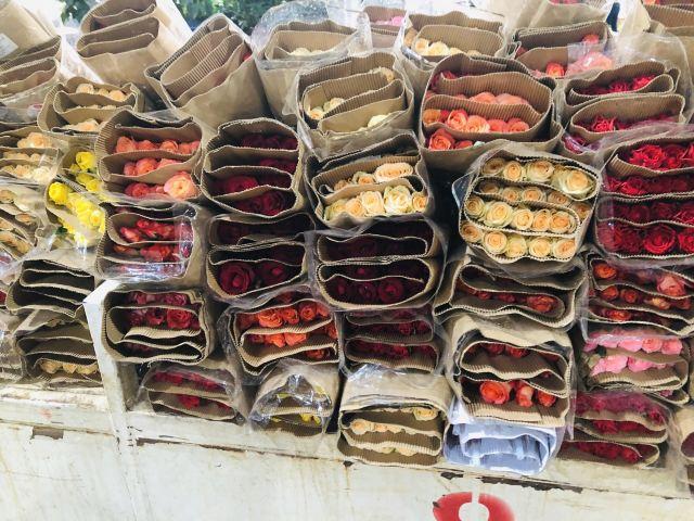 昆明一日游最佳景点一览表，昆明32个最适合一日游的免费景点（四季如春的昆明很适合旅游）