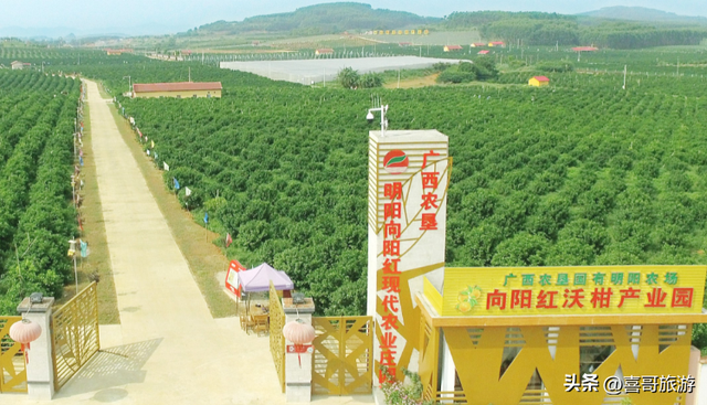 南宁旅游攻略必玩的景点，南宁旅游攻略必玩的景点免费（广西南宁江南区值得游玩的旅游景点有哪些）