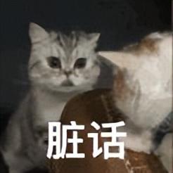 好看的表情包(10000种表情包图片大全)
