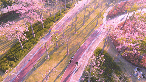 珠海好玩吗，珠海游玩攻略（珠海这50个免费景点合集）