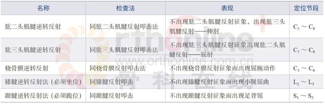 脚踵是哪个部位图解，脚踵是什么部位（一文掌握脊柱损伤相关的神经系统检查）