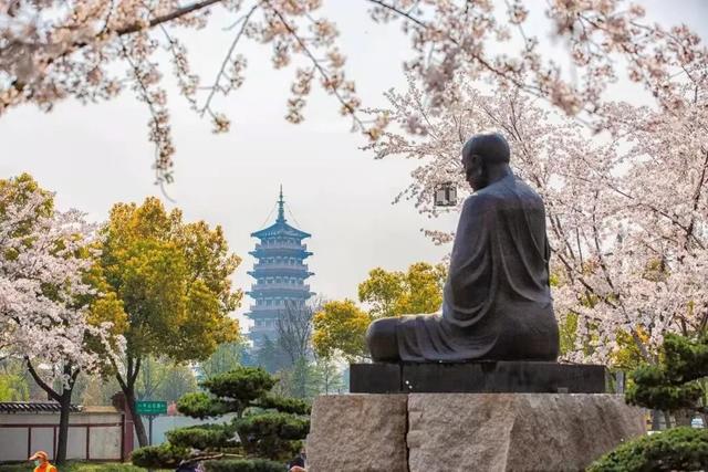 花开见佛的意思，花开见佛的意思和造句（鉴真樱花季 ， 花开见佛）