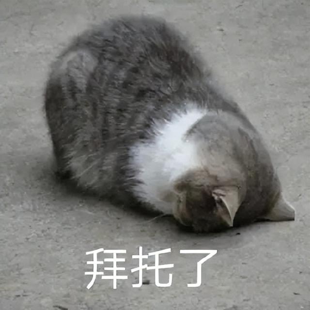 如何关闭qq音乐自动续费，如何关闭qq音乐绿钻自动续费（VIP，你还会氪吗）