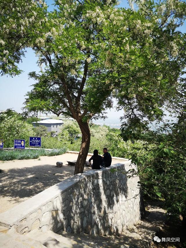 北京西山森林公园，北京西山森林公园登山路线推荐（西山国家森林公园）