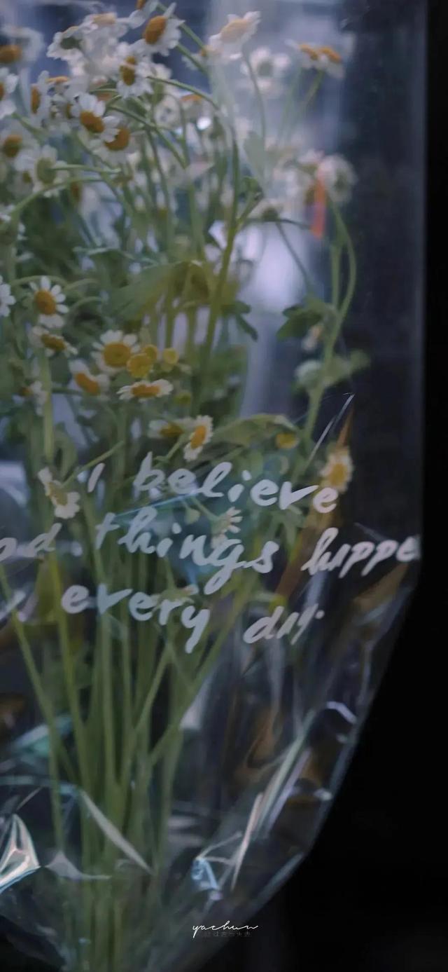 浪漫至死不渝的句子，表达爱情的句子唯美（浪漫至死不渝）