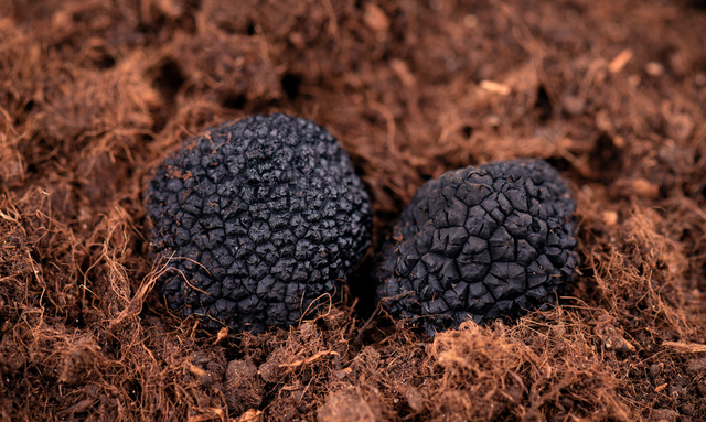 送爸爸什么礼物好，2021父亲节送什么礼物给爸爸好（适合给家人带的小礼物）