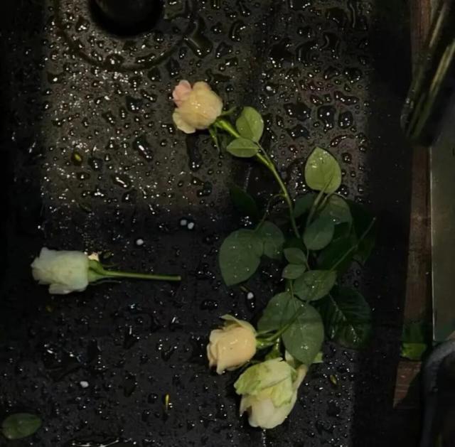 思君念君不见君，思君念君不见君的全时是什么（<高级一点怎么说>）