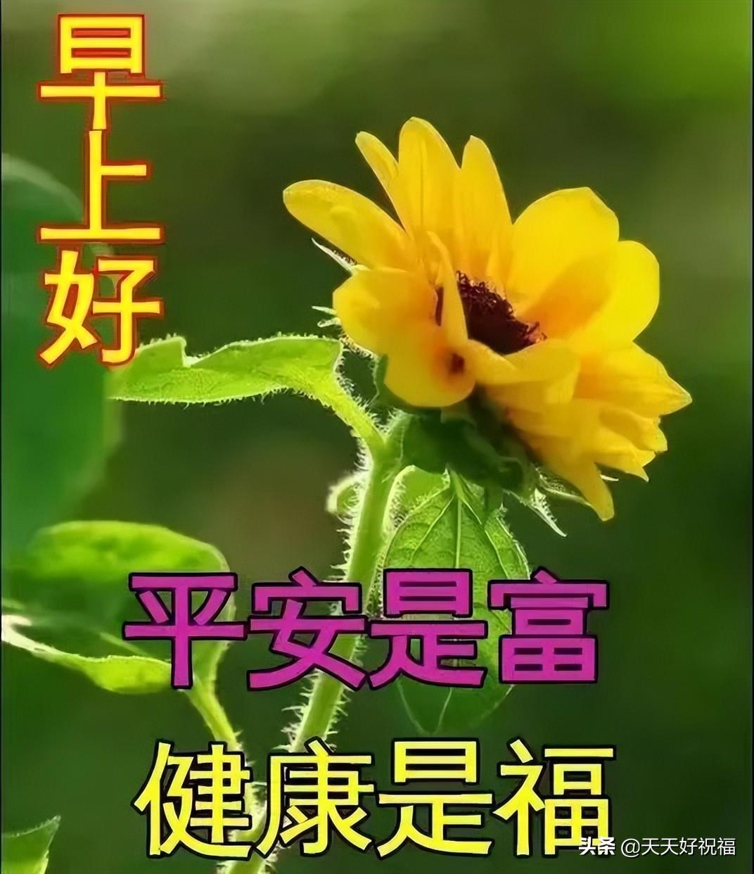 珍惜亲情的句子，珍惜亲情可贵的句子（感恩今生相遇的人。早上好）