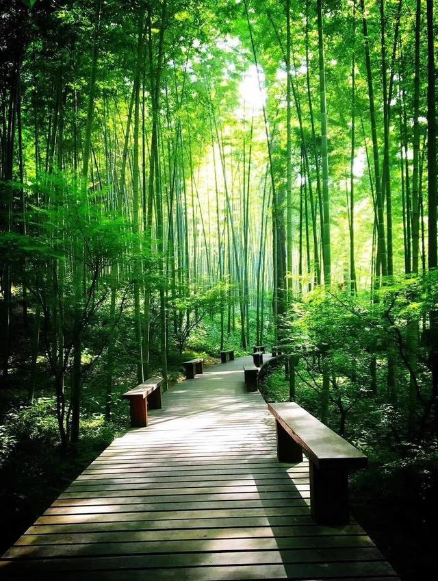 关于五一劳动节的作文600字，【精选】五一劳动节的作文600字4篇（五一劳动节随笔）