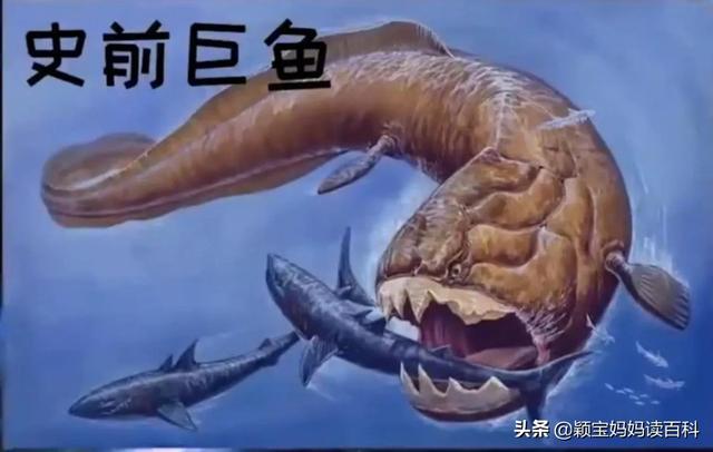 什么叫哺乳动物，什么叫哺乳动物怎么听一遍啊（<二十一>——强大的哺乳动物）