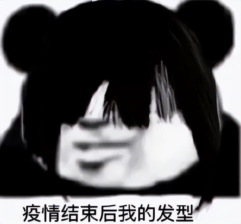 最近很火的表情包(网上超火的表情包)