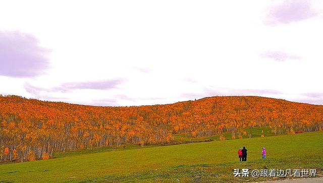 阿尔山的风景，《走进内蒙》景色迷人
