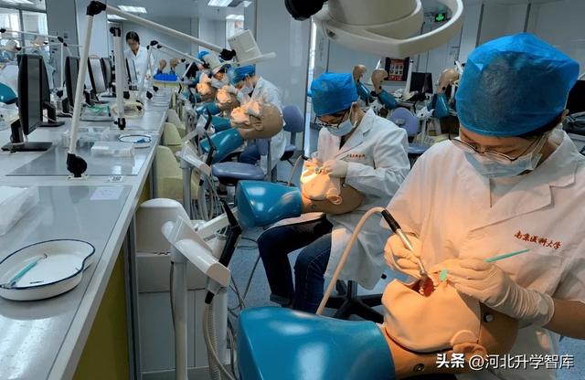 河北医学院校排名大全，河北医药类大学排名（河北省2022年临床医学与口腔医学专业投档线最全盘点）