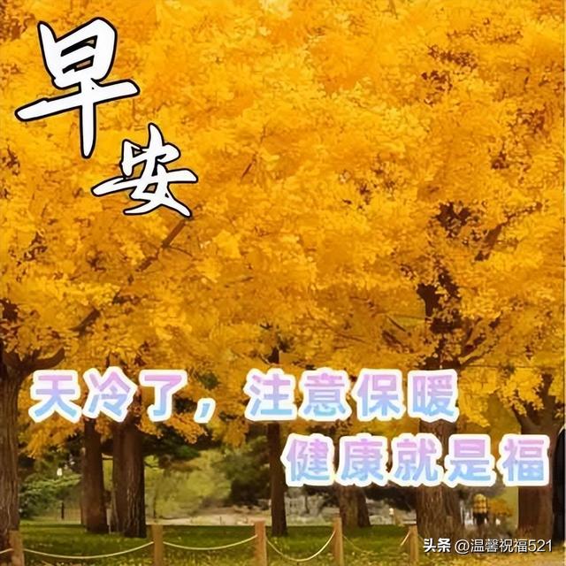 早上问好的暖心句子有哪些，问候的暖心句子早上好（冬季漂亮暖心早安问候温馨图片带字）