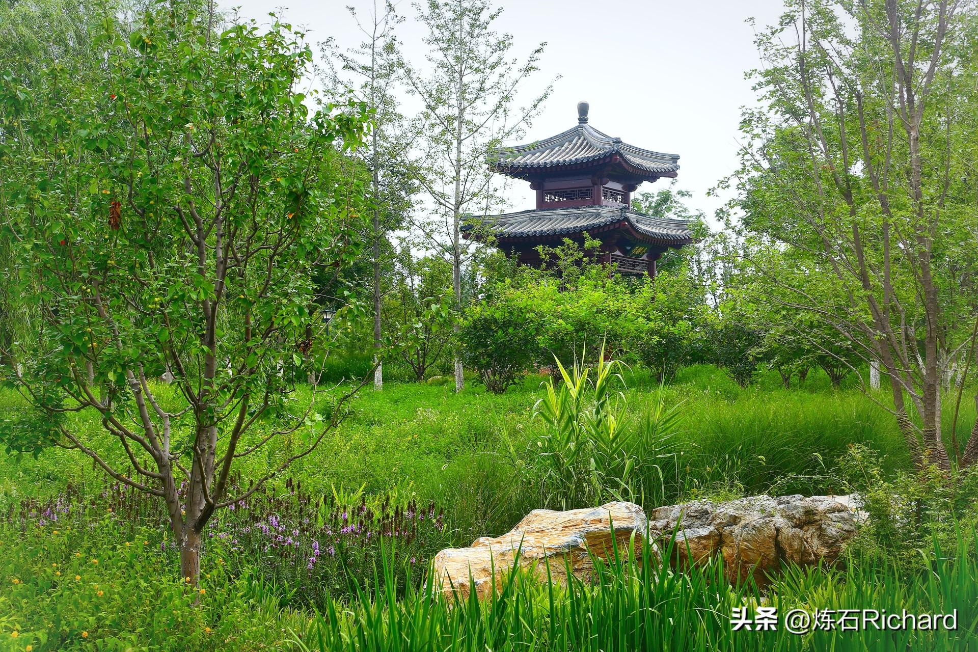 城市绿心森林公园