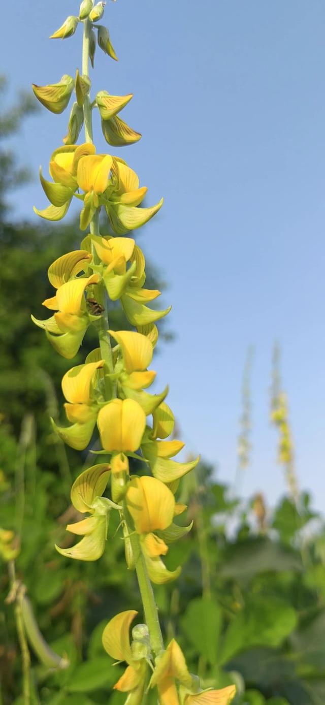 4.5月份的当季水果，芒果季节是几月份吃（一年四季都吃什么水果）