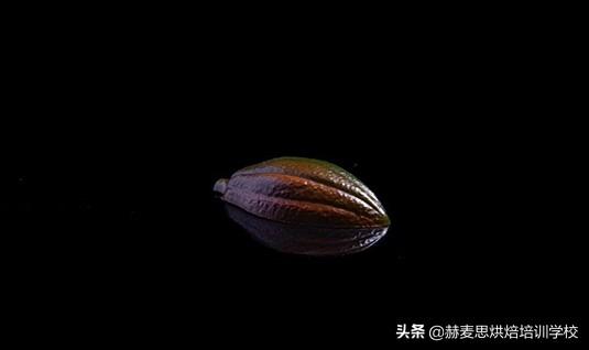 烘焙培训都有什么课程，烘焙课做什么（杭州西点培训班课程一般学些啥）